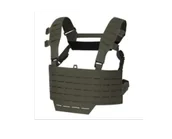 Odzież taktyczna i umundurowanie - Kamizelka taktyczna Direct Action WARWICK Slick Chest Rig (CR-WRWS-CD5-RGR) - miniaturka - grafika 1