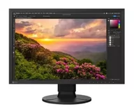 Monitory - Eizo ColorEdge CS2400S - miniaturka - grafika 1